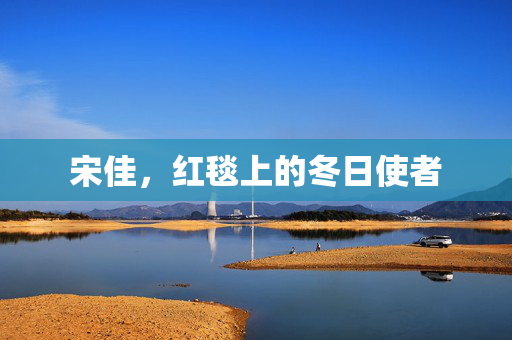 宋佳，红毯上的冬日使者