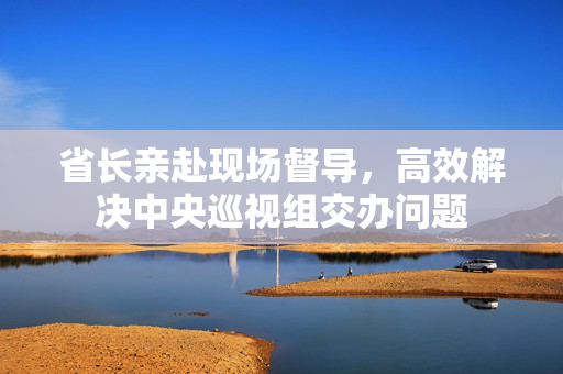 省长亲赴现场督导，高效解决中央巡视组交办问题