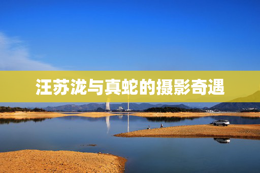 汪苏泷与真蛇的摄影奇遇