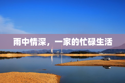 雨中情深，一家的忙碌生活