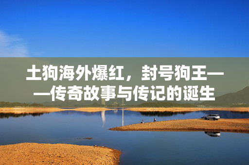 土狗海外爆红，封号狗王——传奇故事与传记的诞生
