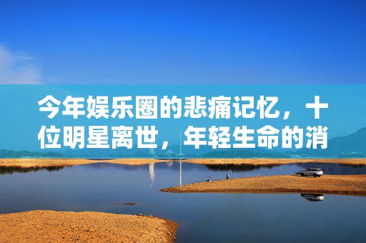 今年娱乐圈的悲痛记忆，十位明星离世，年轻生命的消逝