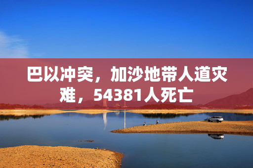 巴以冲突，加沙地带人道灾难，54381人死亡