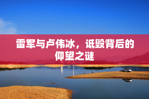 雷军与卢伟冰，诋毁背后的仰望之谜