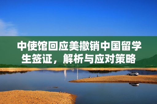 中使馆回应美撤销中国留学生签证，解析与应对策略