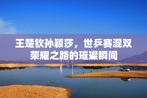 王楚钦孙颖莎，世乒赛混双荣耀之路的璀璨瞬间