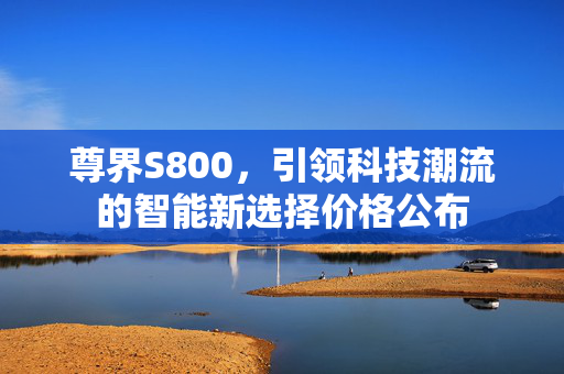 尊界S800，引领科技潮流的智能新选择价格公布