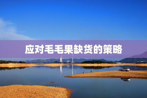 应对毛毛果缺货的策略
