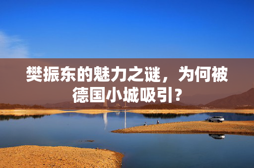 樊振东的魅力之谜，为何被德国小城吸引？