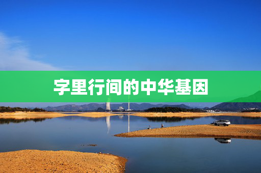 字里行间的中华基因