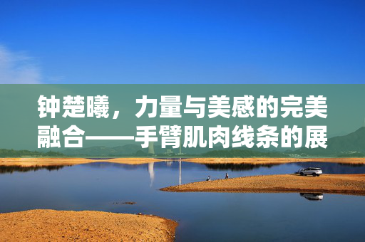 钟楚曦，力量与美感的完美融合——手臂肌肉线条的展示