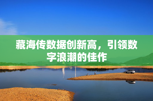 藏海传数据创新高，引领数字浪潮的佳作