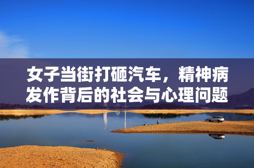 女子当街打砸汽车，精神病发作背后的社会与心理问题探讨