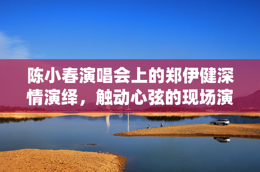 陈小春演唱会上的郑伊健深情演绎，触动心弦的现场演绎