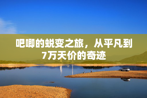 吧唧的蜕变之旅，从平凡到7万天价的奇迹