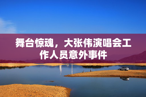 舞台惊魂，大张伟演唱会工作人员意外事件