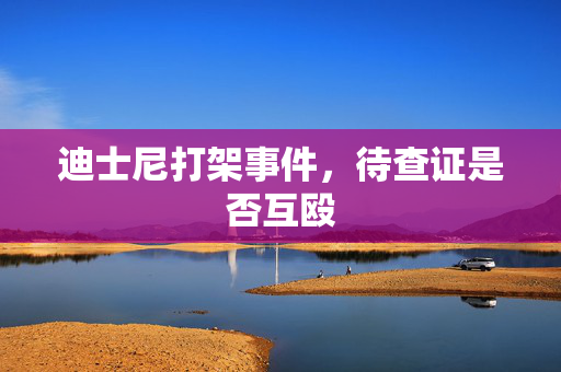 迪士尼打架事件，待查证是否互殴