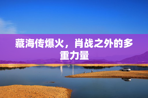 藏海传爆火，肖战之外的多重力量