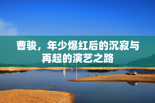 曹骏，年少爆红后的沉寂与再起的演艺之路