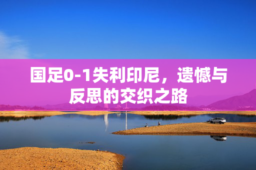国足0-1失利印尼，遗憾与反思的交织之路