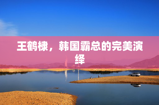 王鹤棣，韩国霸总的完美演绎