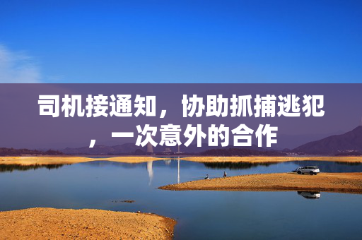 司机接通知，协助抓捕逃犯，一次意外的合作
