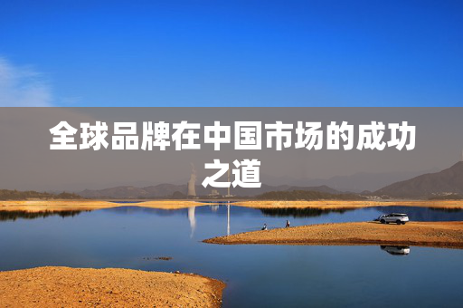 全球品牌在中国市场的成功之道