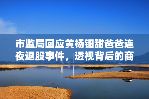 市监局回应黄杨钿甜爸爸连夜退股事件，透视背后的商业与法律考量