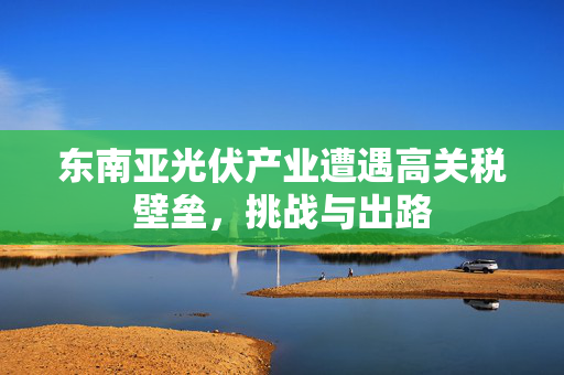 东南亚光伏产业遭遇高关税壁垒，挑战与出路