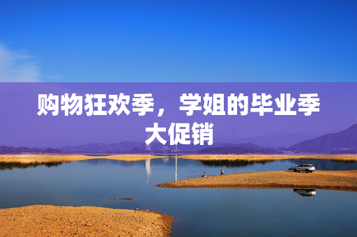 购物狂欢季，学姐的毕业季大促销