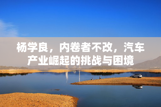杨学良，内卷者不改，汽车产业崛起的挑战与困境