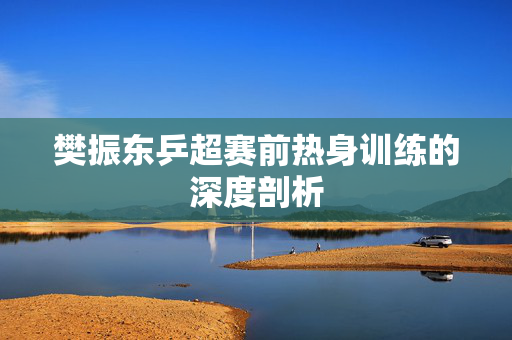 樊振东乒超赛前热身训练的深度剖析