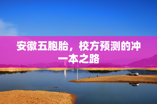 安徽五胞胎，校方预测的冲一本之路