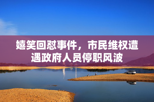 嬉笑回怼事件，市民维权遭遇政府人员停职风波