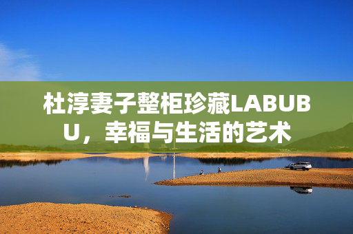 杜淳妻子整柜珍藏LABUBU，幸福与生活的艺术