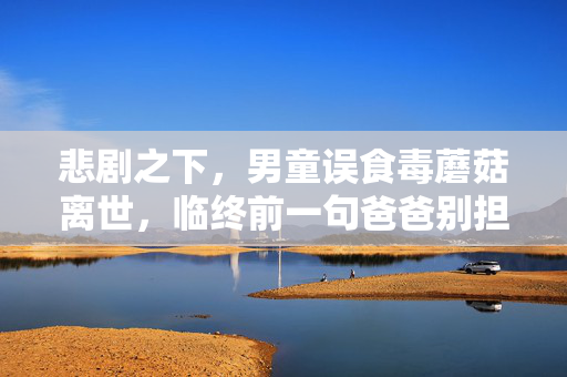 悲剧之下，男童误食毒蘑菇离世，临终前一句爸爸别担心的沉重含义