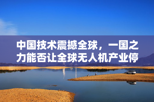 中国技术震撼全球，一国之力能否让全球无人机产业停摆一年？