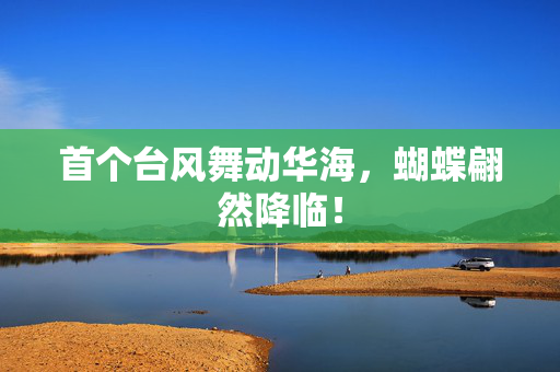 首个台风舞动华海，蝴蝶翩然降临！