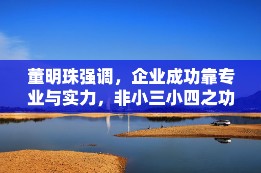 董明珠强调，企业成功靠专业与实力，非小三小四之功