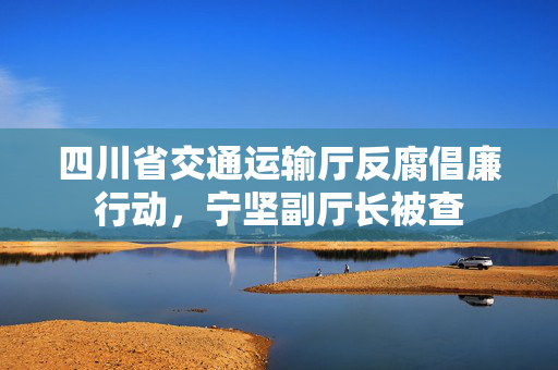 四川省交通运输厅反腐倡廉行动，宁坚副厅长被查