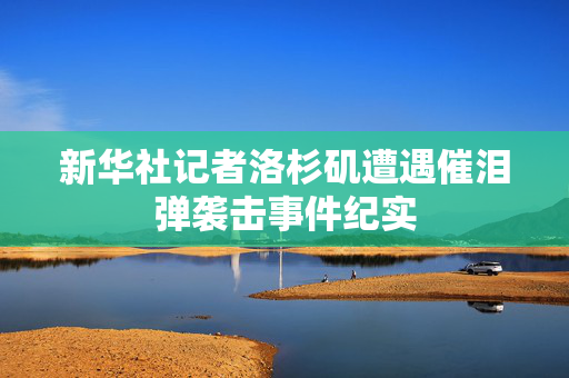 新华社记者洛杉矶遭遇催泪弹袭击事件纪实