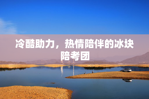 冷酷助力，热情陪伴的冰块陪考团