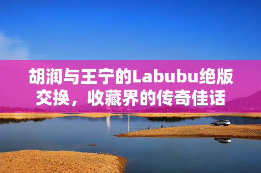 胡润与王宁的Labubu绝版交换，收藏界的传奇佳话
