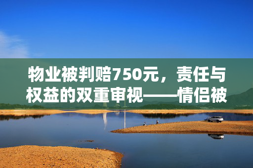 物业被判赔750元，责任与权益的双重审视——情侣被困电梯误机事件分析