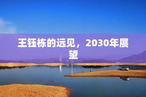 王钰栋的远见，2030年展望