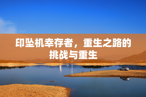 印坠机幸存者，重生之路的挑战与重生