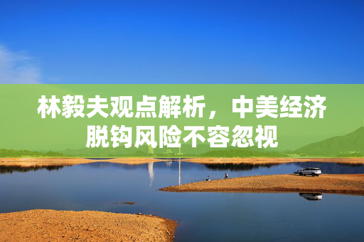 林毅夫观点解析，中美经济脱钩风险不容忽视