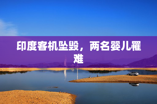 印度客机坠毁，两名婴儿罹难