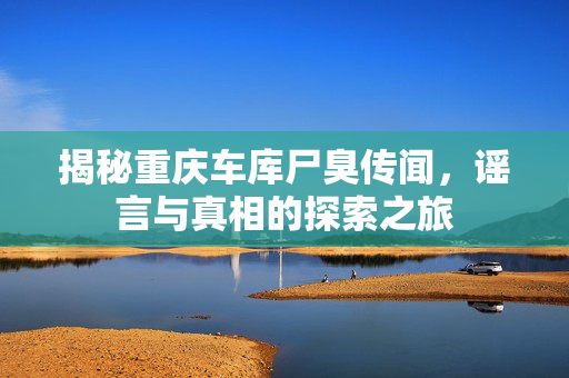 揭秘重庆车库尸臭传闻，谣言与真相的探索之旅