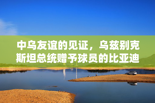 中乌友谊的见证，乌兹别克斯坦总统赠予球员的比亚迪汽车